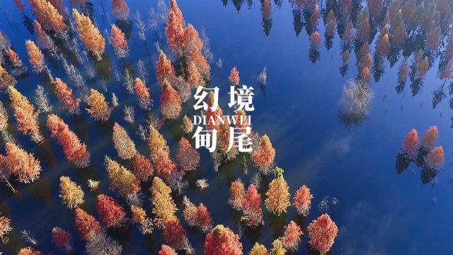 广东宏大(002683.SZ)：现有电子雷管产能3334万发，能够满足现有业务需求